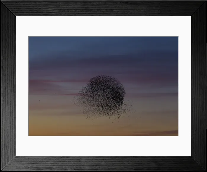 Framed Print : Picture No. 11808760 Framed Print : Picture No. 11808760