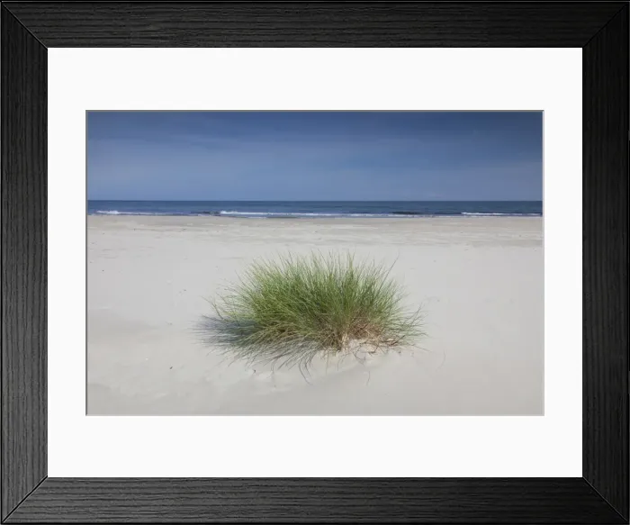 Framed Print : Picture No. 11808791 Framed Print : Picture No. 11808791