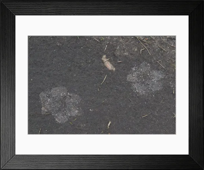 Framed Print : Picture No. 11808797 Framed Print : Picture No. 11808797