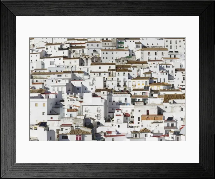 Framed Print : Picture No. 11808825 Framed Print : Picture No. 11808825