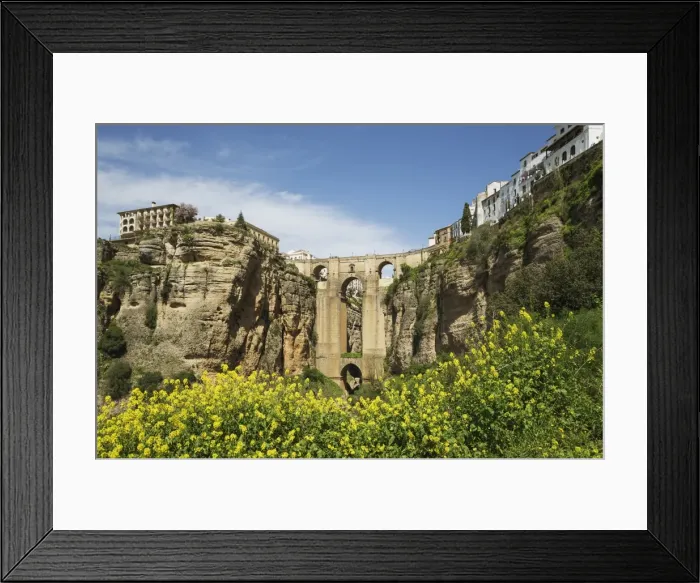 Framed Print : Picture No. 11808831 Framed Print : Picture No. 11808831