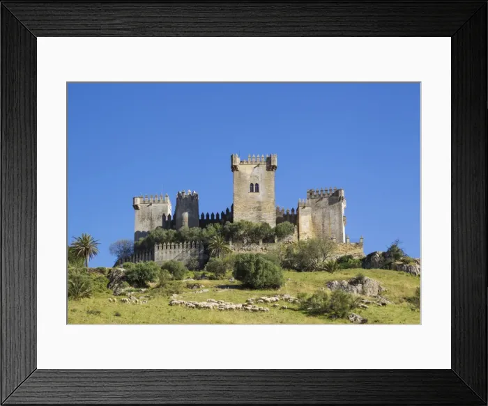 Framed Print : Picture No. 11808836 Framed Print : Picture No. 11808836