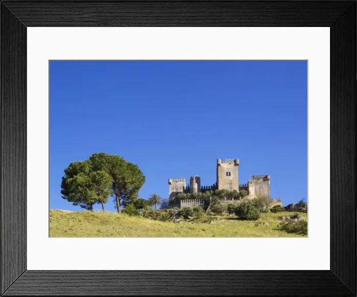 Framed Print : Picture No. 11808837 Framed Print : Picture No. 11808837