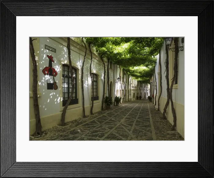 Framed Print : Picture No. 11808844 Framed Print : Picture No. 11808844