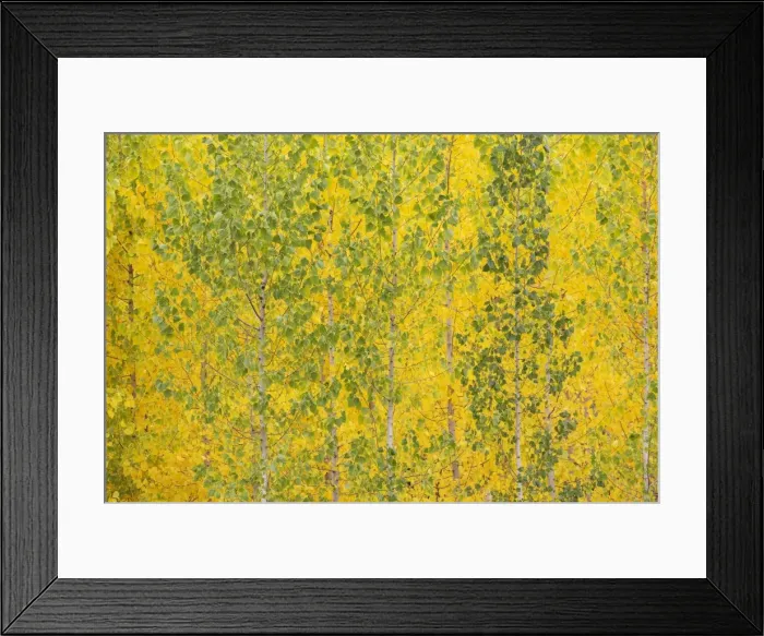 Framed Print : Picture No. 11808866 Framed Print : Picture No. 11808866