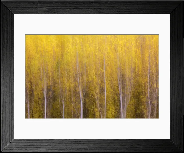 Framed Print : Picture No. 11808875 Framed Print : Picture No. 11808875
