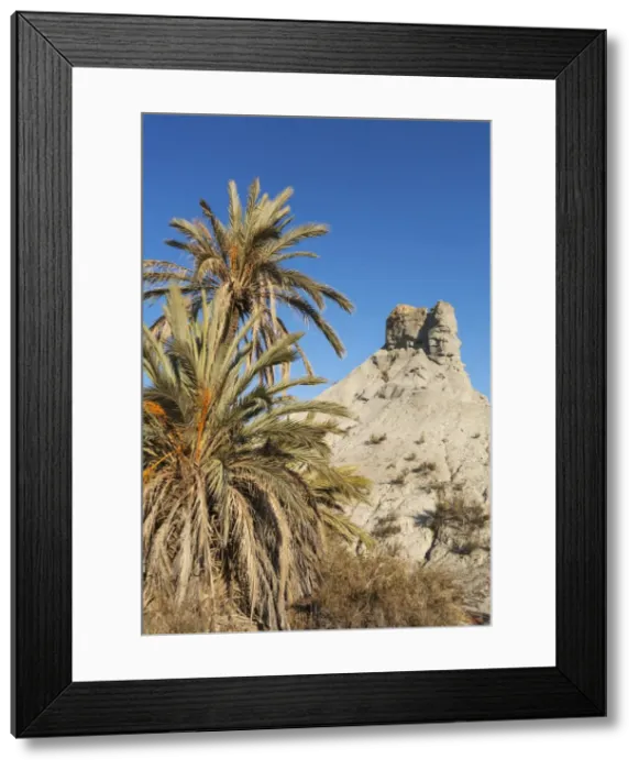 Framed Print : Picture No. 11808883 Framed Print : Picture No. 11808883