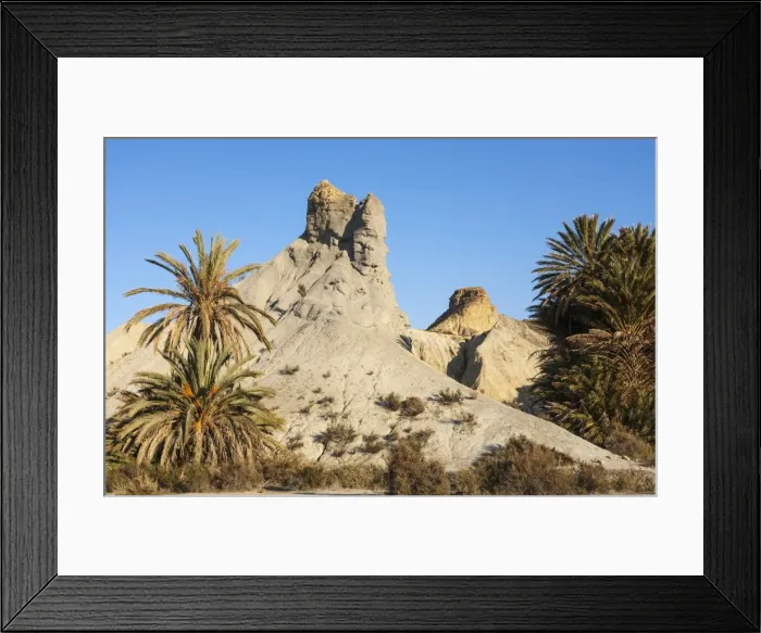 Framed Print : Picture No. 11808884 Framed Print : Picture No. 11808884