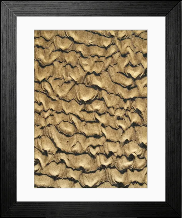 Framed Print : Picture No. 11808894 Framed Print : Picture No. 11808894