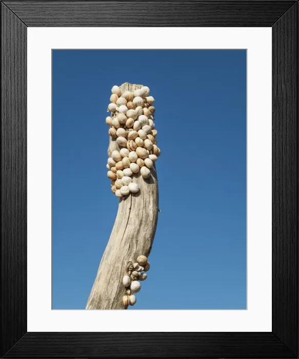 Framed Print : Picture No. 11808895 Framed Print : Picture No. 11808895