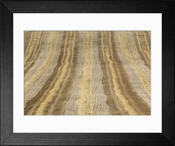 Framed Print : Picture No. 11808900 Framed Print : Picture No. 11808900