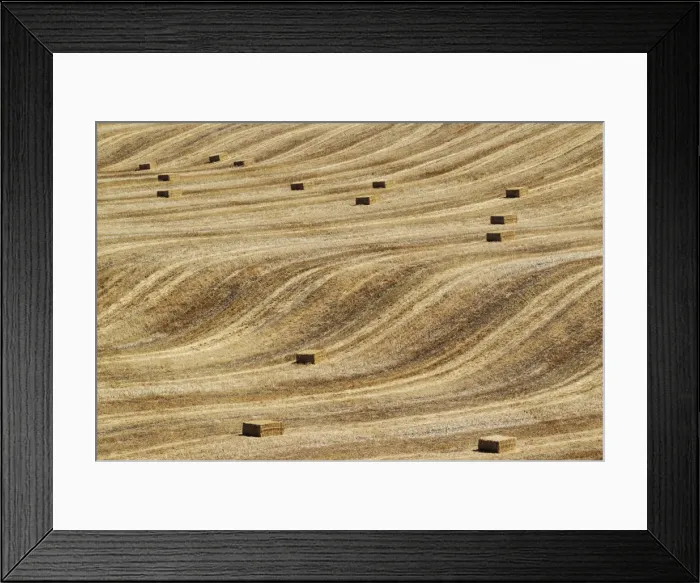 Framed Print : Picture No. 11808901 Framed Print : Picture No. 11808901