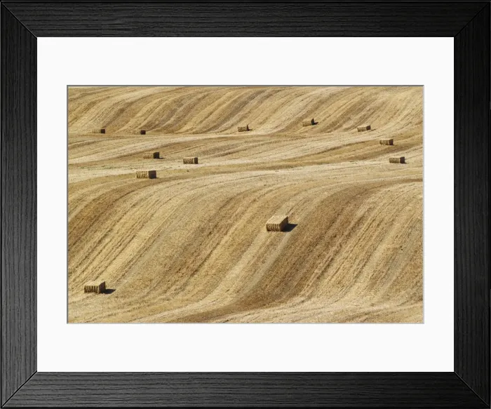 Framed Print : Picture No. 11808902 Framed Print : Picture No. 11808902