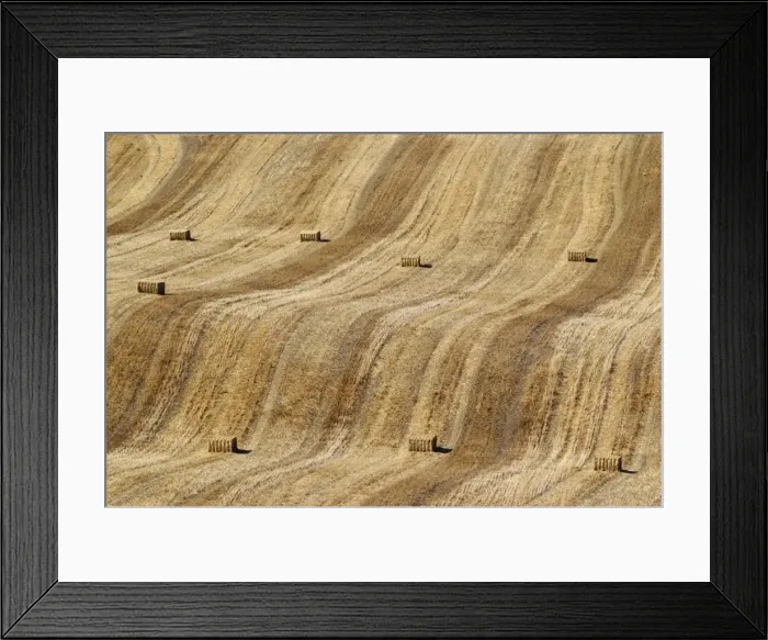 Framed Print : Picture No. 11808903 Framed Print : Picture No. 11808903