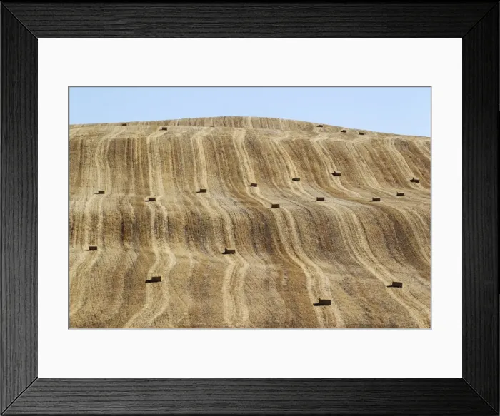 Framed Print : Picture No. 11808904 Framed Print : Picture No. 11808904