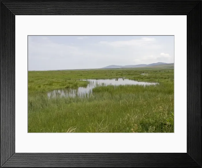 Framed Print : RSPB wetland reserve Loch Gruinart Islay Scotland UK Framed Print : RSPB wetland reserve Loch Gruinart Islay Scotland UK