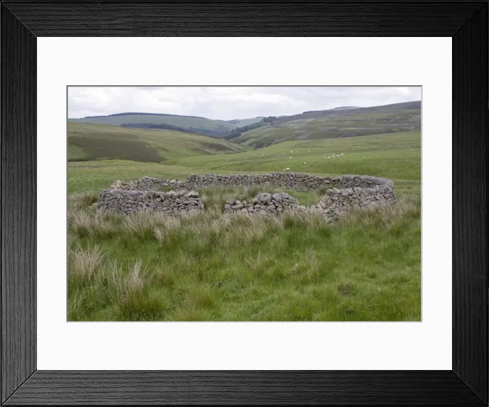 Framed Print : Stone sheep enclosure Moorfoot Hills Scottish Borders south of Edinburgh Scotland UK Framed Print : Stone sheep enclosure Moorfoot Hills Scottish Borders south of Edinburgh Scotland UK