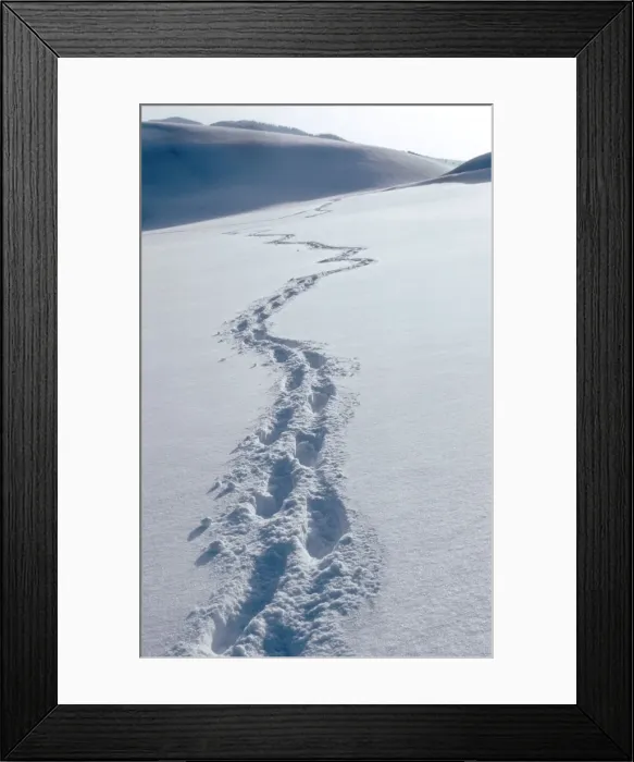 Framed Print : Winter landscape with footprints in snow / Hautes fagnes / Belgium Framed Print : Winter landscape with footprints in snow / Hautes fagnes / Belgium