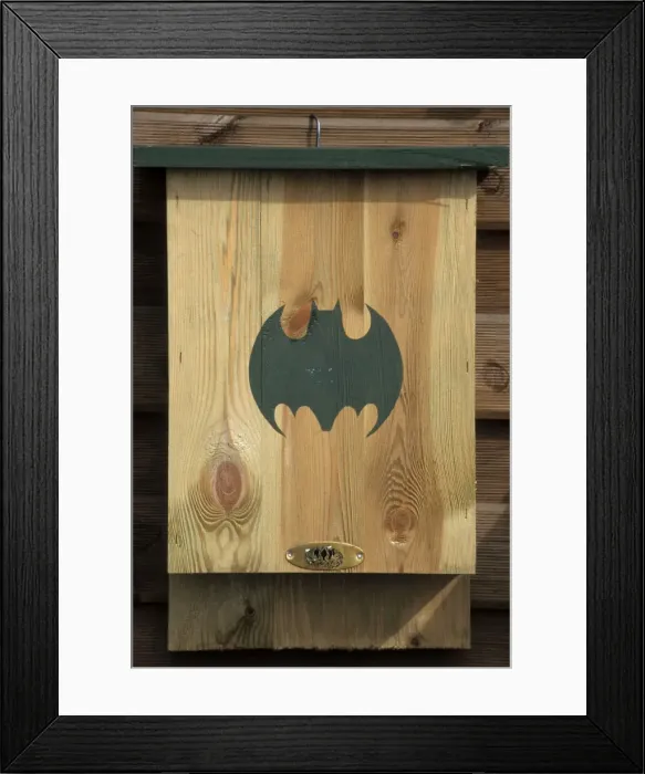 Framed Print : Bat - nestbox Framed Print : Bat - nestbox