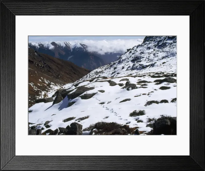 Framed Print : Snow Leopard Tracks - 4500m altitude Nera Everest, Nepal Framed Print : Snow Leopard Tracks - 4500m altitude Nera Everest, Nepal