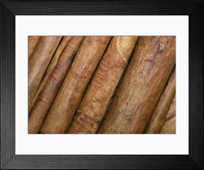 Framed Print : Cinnamon. PPG-1781. Cinnamon. Pascal Goetgheluck Framed Print : Cinnamon. PPG-1781. Cinnamon. Pascal Goetgheluck