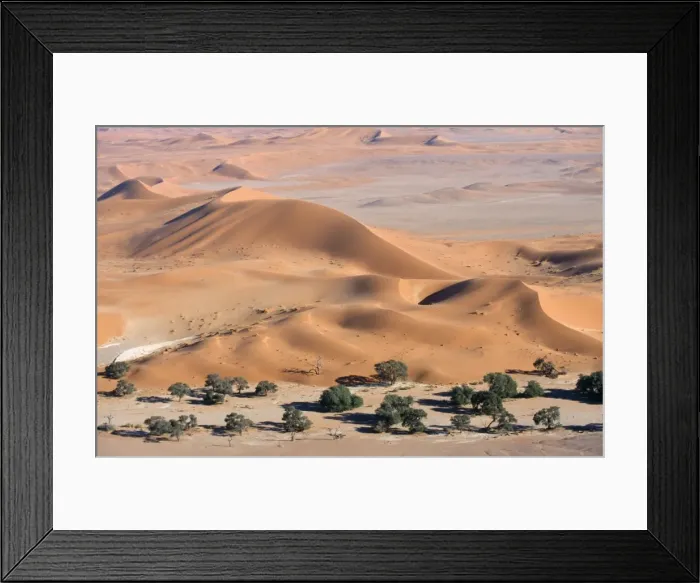 Framed Print : Africa - sandhills Namib Desert, Namibia, Africa Framed Print : Africa - sandhills Namib Desert, Namibia, Africa