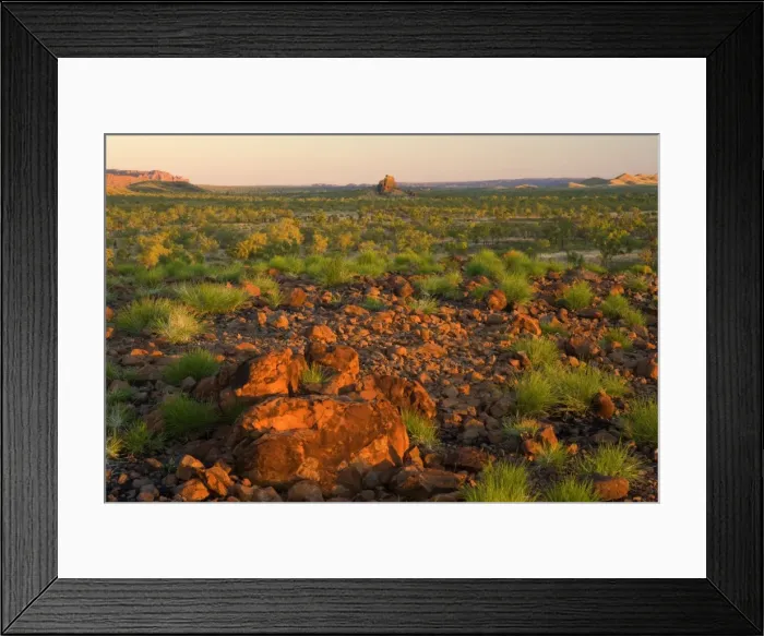 Framed Print : Bungles View - panoramic view of spinifex-covered ridges and the western escarpment of the Bungle Bungle Range from Kungkalanyi Lookout at sunset. After a bushfire Framed Print : Bungles View - panoramic view of spinifex-covered ridges and the western escarpment of the Bungle Bungle Range from Kungkalanyi Lookout at sunset. After a bushfire
