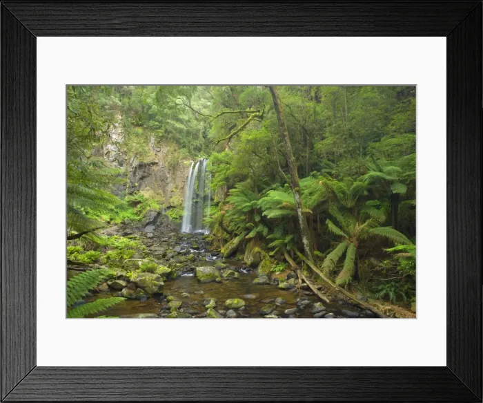 Framed Print : Hopetoun Falls - beautiful and picturesque waterfall creating a shallow river amidst lush temperate rainforest with a lot of treefern growing along the river's banks - Otways Range, Victoria, Australia Framed Print : Hopetoun Falls - beautiful and picturesque waterfall creating a shallow river amidst lush temperate rainforest with a lot of treefern growing along the river's banks - Otways Range, Victoria, Australia