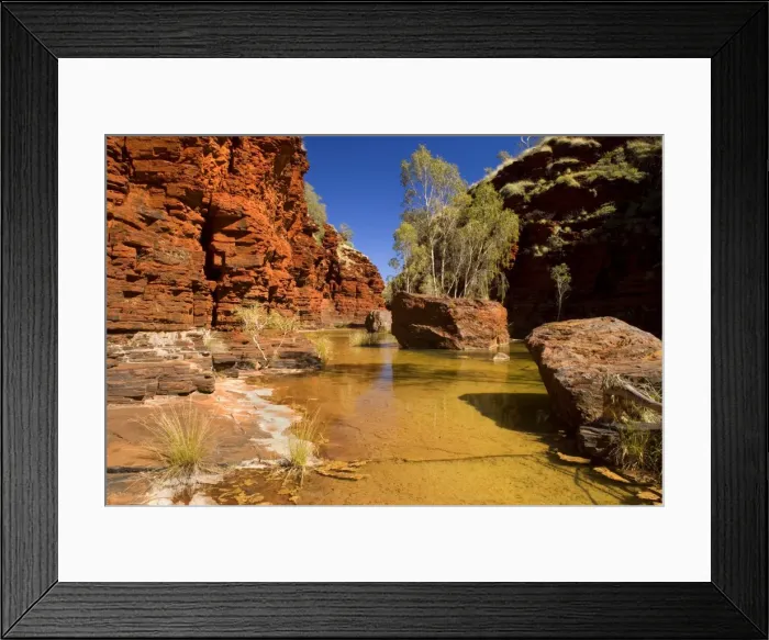 Framed Print : Kalamina Gorge - a river flows down Kalamina Gorge surrounded by steep, terraced red walls. Gum trees and other adapted vegetation grows on islands in the river - Kalamina Gorge, Hamersley Range, Karijini National Park, Pilbara, Western Australia Framed Print : Kalamina Gorge - a river flows down Kalamina Gorge surrounded by steep, terraced red walls. Gum trees and other adapted vegetation grows on islands in the river - Kalamina Gorge, Hamersley Range, Karijini National Park, Pilbara, Western Australia