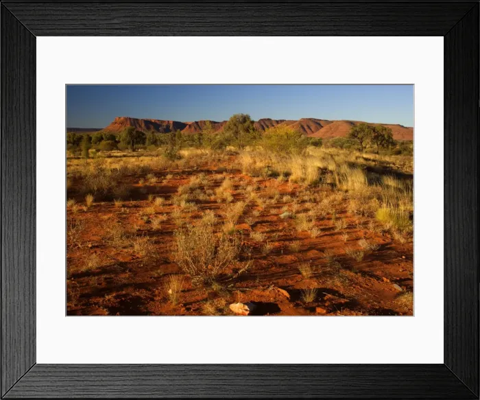 Framed Print : Kings Canyon - red earth, bushland and by sun red ablaze rim cliffs of Kings Canyon in late evening - Kings Canyon, Watarrka National Park, Northern Territory, Australia