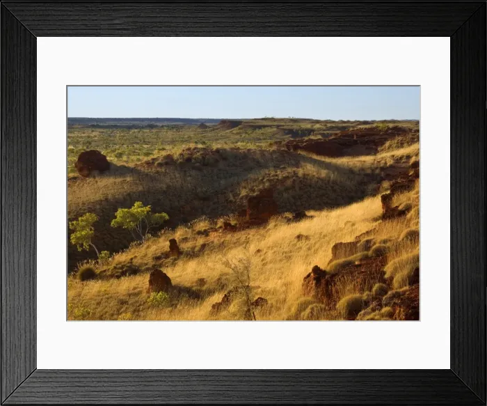 Framed Print : Ngumban Cliffs - view towards the terraced red cliffs from Ngumban Cliffs Lookout at late evening. The grass covered hills are illuminated by the backlighting sun - Ngumban Cliffs, Kimberley, Western Australia, Australia Framed Print : Ngumban Cliffs - view towards the terraced red cliffs from Ngumban Cliffs Lookout at late evening. The grass covered hills are illuminated by the backlighting sun - Ngumban Cliffs, Kimberley, Western Australia, Australia