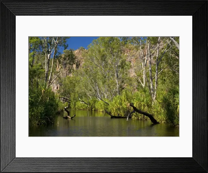 Framed Print : River in the desert - a permanent river cuts its ways through a sandstone plateau in the desert in the Northern Territory. Rich, green cabbage trees and gum trees line the shoreline - Katherine Gorge National Park, Nitmuluk National Park Framed Print : River in the desert - a permanent river cuts its ways through a sandstone plateau in the desert in the Northern Territory. Rich, green cabbage trees and gum trees line the shoreline - Katherine Gorge National Park, Nitmuluk National Park