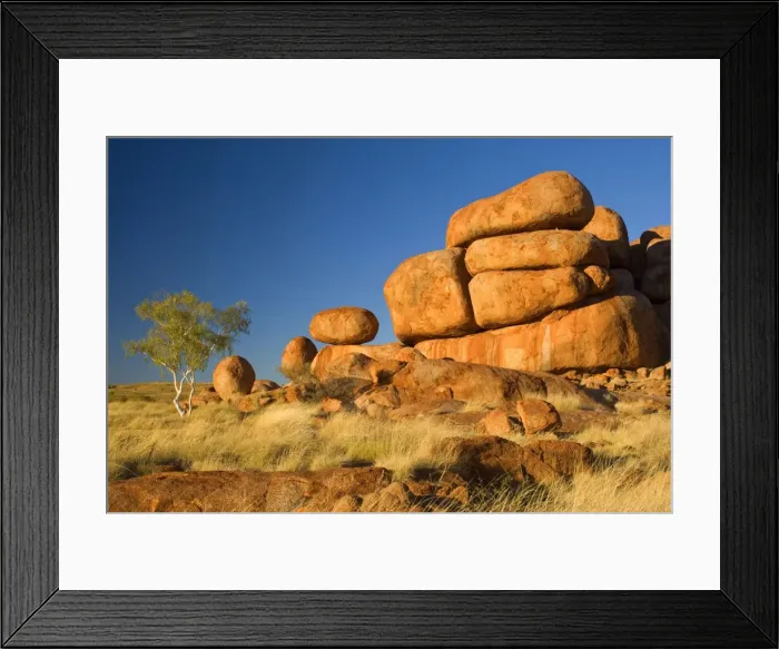 Framed Print : Devils Marbles - a ghost gum tree and three balanced rocks of almost perfect circular shape are located on top of a rock formation, amidst grassy bushland - Devils Marbles Conservation Area, Northern Territory, Australia Framed Print : Devils Marbles - a ghost gum tree and three balanced rocks of almost perfect circular shape are located on top of a rock formation, amidst grassy bushland - Devils Marbles Conservation Area, Northern Territory, Australia