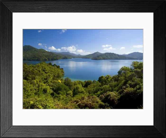 Framed Print : Queen Charlotte Sound view towards the blue waters of the sound from Queen Charlotte Drive Marlborough Sounds, South Island, New Zealand Framed Print : Queen Charlotte Sound view towards the blue waters of the sound from Queen Charlotte Drive Marlborough Sounds, South Island, New Zealand