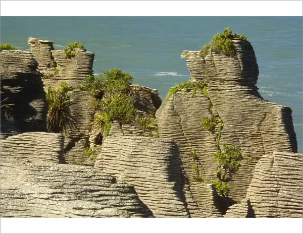Pancake Rocks famous flat limestone rock formations at Punakaiki in the shape of a man with a cap Paparoa National Park, West Coast, South Island, New Zealand