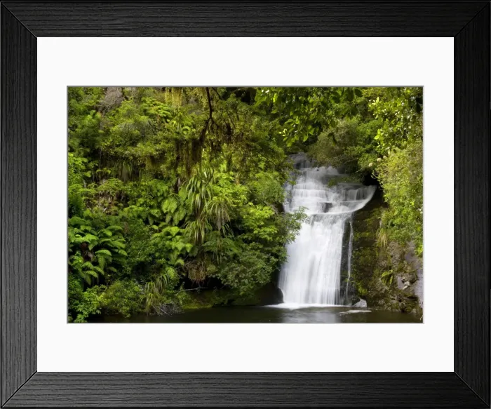 Framed Print : Waterfall water flowing over rocks into a basin in lush temperate rainforest with ferns and lichen Te Urewera National Park, Hawke's Bay, North Island, New Zealand Framed Print : Waterfall water flowing over rocks into a basin in lush temperate rainforest with ferns and lichen Te Urewera National Park, Hawke's Bay, North Island, New Zealand