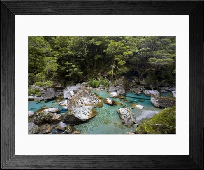 Framed Print : Wildwater river clear water running through a gorge in lush Southern Beech forest alongside the Routeburn Track Mount Aspiring National Park, Wanaka District, South Island, New Zealand Framed Print : Wildwater river clear water running through a gorge in lush Southern Beech forest alongside the Routeburn Track Mount Aspiring National Park, Wanaka District, South Island, New Zealand