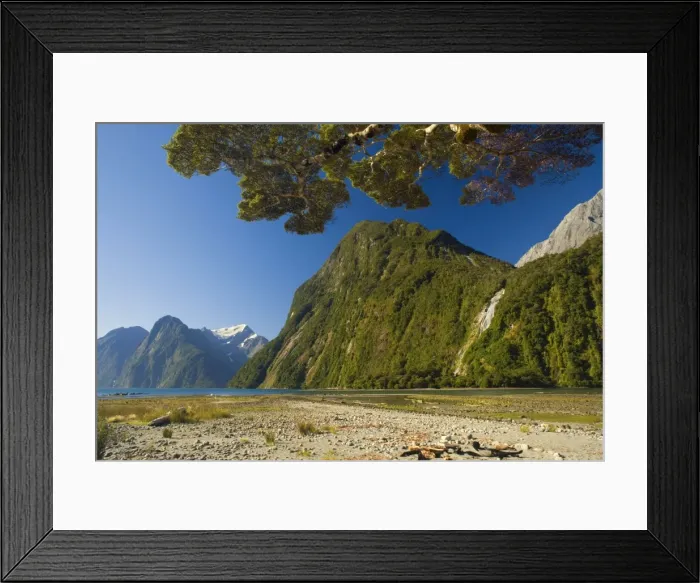 Framed Print : Milford Sound with waterfalls and surrounding mountains. Milford Sound is one of the, if not THE, most famous attraction in New Zealand. Many scenes for the The Lord of the Rings Trilogy were filmed in this breathtaking Framed Print : Milford Sound with waterfalls and surrounding mountains. Milford Sound is one of the, if not THE, most famous attraction in New Zealand. Many scenes for the The Lord of the Rings Trilogy were filmed in this breathtaking
