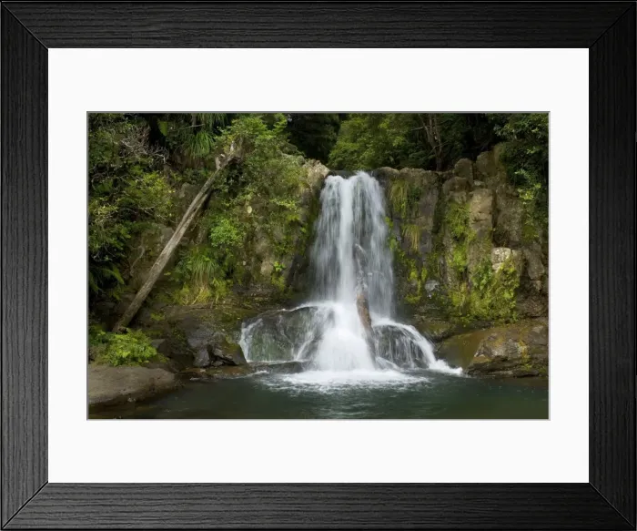 Framed Print : Waiau Falls water cascading down Waiau Falls which are located amidst lush temperate rainforest along the 309 road Coromandel Peninsula, North Island, New Zealand Framed Print : Waiau Falls water cascading down Waiau Falls which are located amidst lush temperate rainforest along the 309 road Coromandel Peninsula, North Island, New Zealand