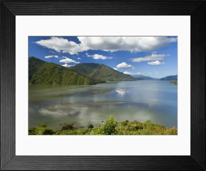Framed Print : Pelorus Sound view into Pelorus Sound with its many bays and forest-clad hills Marlborough Sounds, South Island, New Zealand Framed Print : Pelorus Sound view into Pelorus Sound with its many bays and forest-clad hills Marlborough Sounds, South Island, New Zealand
