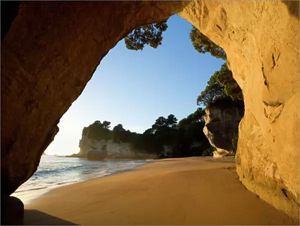 Cathedral Cove beach at Cathedral Cove seen through a natural rock arch in early morning light Cathedral Cove, Coromandel Peninsula, North Island, New Zealand
