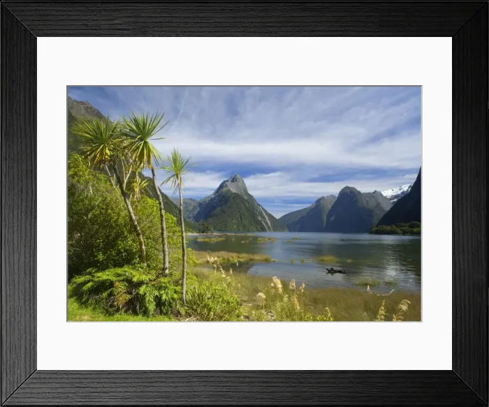 Framed Print : Milford Sound with landmark Mitre Peak and surrounding mountains. Milford Sound is one of the, if not THE, most famous attraction in New Zealand Framed Print : Milford Sound with landmark Mitre Peak and surrounding mountains. Milford Sound is one of the, if not THE, most famous attraction in New Zealand