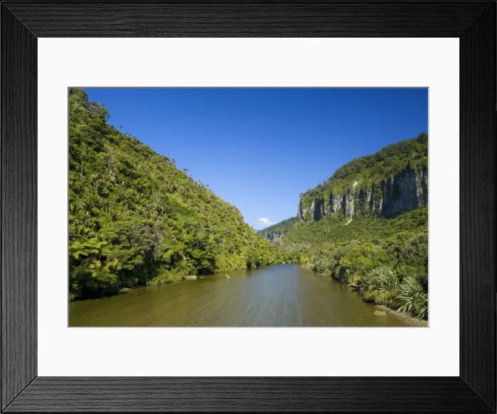Framed Print : Pororari Gorge limestone gorge of the Pororari river with lush rainforest vegetation including Nikau Palms on both sides Paparoa National Park, West Coast, South Island, New Zealand