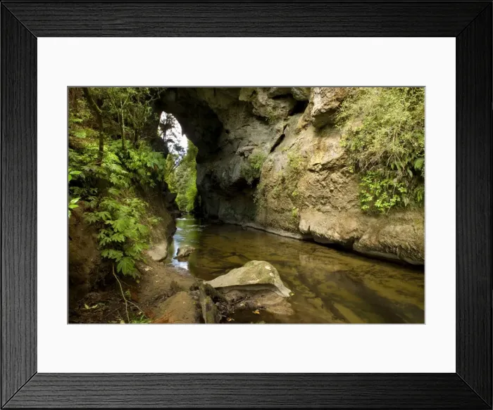 Framed Print : Natural Bridge natural limestone arch and brook at Mangapohoe Natural Bridge Waitomo, King Country, North Island, New Zealand Framed Print : Natural Bridge natural limestone arch and brook at Mangapohoe Natural Bridge Waitomo, King Country, North Island, New Zealand