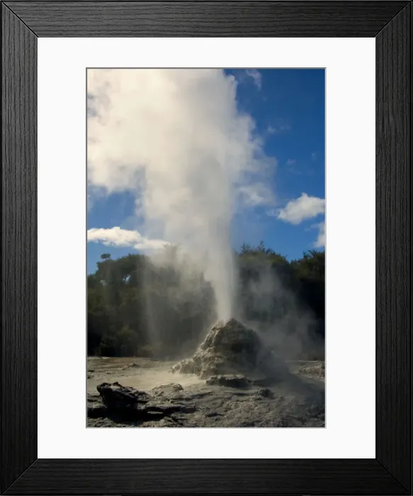 Framed Print : Lady Knox Geyser erupting Geyser spewing water and steam in the blue sky Waiotapu Thermal Area, Rotorua, North Island, New Zealand Framed Print : Lady Knox Geyser erupting Geyser spewing water and steam in the blue sky Waiotapu Thermal Area, Rotorua, North Island, New Zealand