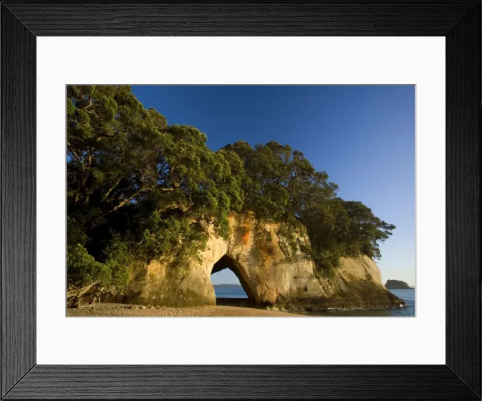 Framed Print : Cathedral Cove tree-clad cliff with a natural rock arch seen from beach at Cathedral Cove Cathedral Cove, Coromandel Peninsula, North Island, New Zealand Framed Print : Cathedral Cove tree-clad cliff with a natural rock arch seen from beach at Cathedral Cove Cathedral Cove, Coromandel Peninsula, North Island, New Zealand