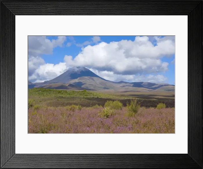 Framed Print : Mount Ngauruhoe perfectly shaped volcanoe Mt Ngauruhoe and surrounding plains with blooming heather in autumn Tongariro National Park, Tongariro World Heritage Area, North Island, New Zealand