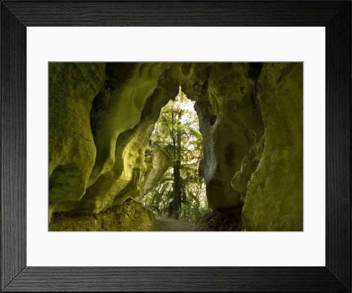 Framed Print : Limestone Tunnel a narrow path leads through a cave-like tunnel of limestone Ruakuri Bush and Scenic Reserve, Waitomo, King Country, North Island, New Zealand Framed Print : Limestone Tunnel a narrow path leads through a cave-like tunnel of limestone Ruakuri Bush and Scenic Reserve, Waitomo, King Country, North Island, New Zealand