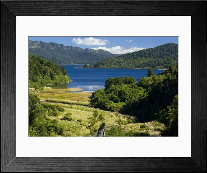 Framed Print : Lake Waikaremoana embedded between mountains clad with lush pristine temperate rainforest Te Urewera National Park, Hawke's Bay, North Island, New Zealand Framed Print : Lake Waikaremoana embedded between mountains clad with lush pristine temperate rainforest Te Urewera National Park, Hawke's Bay, North Island, New Zealand