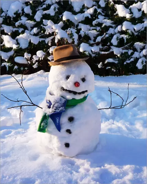 Snowman - with scarf & hat in winter scene Digital Manipulation: removed pots in background & added snow. added extra mouth coals